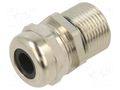 Cable gland; with long thread; PG13,5; brass ILME ILME-ASC13PH