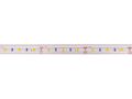 LED strip, 12V, 14.4W/m, waterproof IP67, T shape, neutral white, 115lm/W, AKTO HM-2835-60-NWHTm