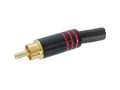Plug RCA red, black body, cable mount AU/CX-RC-M-GR 5410329283728