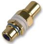 PHONO ADAPTOR, GOLD, BLUE PSG02556
