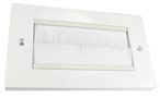 BRUSH PLATE, WHITE, 2 GANG, WHITE BRUSH UT-744WH