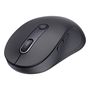 Wireless Mouse 2.4GHz/Bluetooth F02, Black B01055505111-01