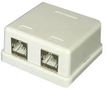 CAT 6A SURFACE MOUNT SOCKET, 2 PORT SGKH2