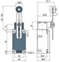 Position switch with adjustable roller lever FP 535, Pizzato FP-535 8018851030000