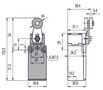 Position switch with roller lever FR 531, Pizzato FR-531 8018851037436