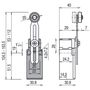 Position switch with adjustable lever and roller FR 555, Pizzato FR-555 8018851038068