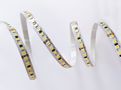 LED strip, 24V, 28W/m, non-waterproof, cold white, 168LED/m, 115lm/W, AKTO HM-2835-168-280Wm24