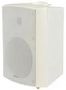 OUTDOOR SPEAKER 100V 6.5" 120W WHITE BP6V-W