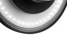 Outdoor wall mounted luminaire FALENA-2, 8W, 650lm, 4000K, IP54, black, ORO ORO10043 5902533197194