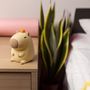 LED night light for children FRIENDLY CAPYBARA touch silicone soft RTV200012