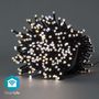 SmartLife Christmas Lights | String | Wi-Fi | Warm to Cool White | 400 LED's | 20.0 m | Android™ / IOS WIFILX02W400 5412810404247