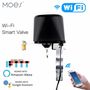 Smart water and gas valve Wi-Fi, black, with power adaptor WV-LZ-EU-BK-MS 6974246479514