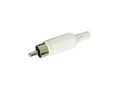 RCA PLUG MALE - WHITE CA047W 5410329287924; 5410329218317