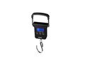 DIGITAL LUGGAGE SCALE - 40 kg / 10 g VTBAL303 5410329709358