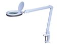 LED desk working lamp with magnifying glass - 8 dioptre - 8 W - 60 LEDs - white VTLLAMP4WN 5410329728052