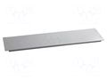 Masking panel; steel; Plating: epoxy-polyester powder; screwed SCHNEIDER ELECTRIC NSYMPC306
