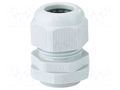 Cable gland; PG21; IP65; polyamide; light grey HENSEL HENSEL-AKS-21