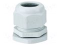 Cable gland; PG36; IP65; polyamide; light grey HENSEL HENSEL-AKS-36