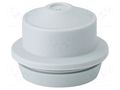 Grommet; elastomer thermoplastic TPE; light grey; 9÷17mm; IP65 HENSEL HENSEL-EDK-25