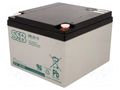 Re-battery: acid-lead; 12V; 28Ah; AGM; maintenance-free SSB ACCU-SBL-28-12I/S