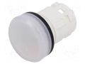 Control lamp; 22mm; 45; Ø22.3mm; IP66,IP67,IP69K; white; Kind: flat EAO 45-2T00.10N0.000