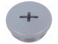 Stopper; PG11; IP68; polyamide; grey; Entrelec; Thread: PG; 6mm TE Connectivity 1SNG620056R0000