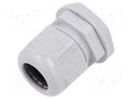 Cable gland; M25; 1.5; IP68; polyamide; light grey; Entrelec TE Connectivity 1SNG626070R0000