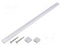Holder; aluminium; natural; H: 30.5mm; L: 307mm; W: 15.5mm; handle GTV Poland GTV-UA-B0-311288