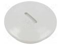 Stopper; PG29; polystyrene; light grey; 8mm OBO BETTERMANN OBO-2033291