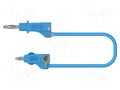 Test lead; 60VDC; 30VAC; 36A; banana plug 4mm,both sides; Len: 1m ELECTRO-PJP PJP2117-100BL