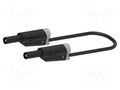 Test lead; 36A; banana plug 4mm,both sides; Urated: 1kV; black ELECTRO-PJP PJP2714-IEC-25N