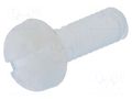 Screw; M2x6; 0.4; Head: cheese head; slotted; 0.6mm; polyamide DREMEC DR8G204M2X6