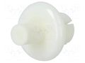 Rivet; polyamide; L.rivet: 6.1mm; white; push-in DREMEC DR8G4056.0X4.0W