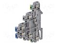 Splice terminal: rail; screw terminal; grey; polyamide; 0.14÷4mm2 PHOENIX CONTACT UT2.5-PE/L/N