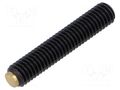 Mount.elem: clamping bolt; Plating: black finish,oxidized; brass ELESA+GANTER GN913.3-M6-32-MS