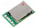 Module: Bluetooth Low Energy; Bluetooth: 5.0,5.1,5.2,5.4; 8dBm RAYTAC MDBT42Q-AT2
