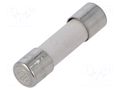 Fuse: fuse; 10A; 250VAC; time-lag; ceramic,cylindrical; brass SIBA 179200.10