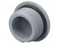 Stopper; M20; 1.5; IP68; polyamide; grey; Entrelec; Thread: metric TE Connectivity 1SNG620017R0000