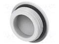 Stopper; PG13,5; IP68; polyamide; light grey; Entrelec; Thread: PG TE Connectivity 1SNG620061R0000