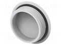 Stopper; PG29; IP68; polyamide; light grey; Entrelec; Thread: PG TE Connectivity 1SNG620082R0000