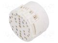 Connector: M23; contact insert; PIN: 19(3+16); male; for cable; 8A HUMMEL 7.003.919.101