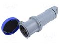 Connector: AC supply 3-phase; plug; female; 63A; 250VAC; 250V; IP&S AMPHENOL 2CMA166898R1000