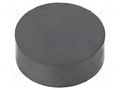 Magnet: permanent; hard ferrite; 16N; Ø: 30.2mm; H: 10.3mm ELESA+GANTER GN55.2HF-30.2-10.3