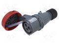 Connector: AC supply 3-phase; plug; female; PIN: 3; 16A; 415V; IP&S AMPHENOL 2CMA101120R1000