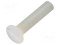 Screw; M6x30; 1; Head: countersunk; slotted; 1.8mm; polyamide; 8G202 DREMEC DR8G202M6X30