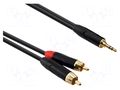 Cable; Jack 3.5mm plug,RCA plug x2; 1m; black; PVC REDS MUSIC AU1610BX