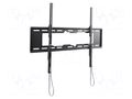 LCD/LED holder; tiltable; 50kg LOGILINK PC-BP0152