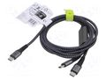 Cable; USB 2.0; USB C plug,USB C plug x2; 1.5m; black,silver; PVC GOOBAY GOOBAY-75739