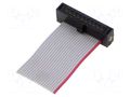 Ribbon cable with IDC connectors; IDC,wires; Tape ph: 0.64mm SAMTEC FFSD10S010001N