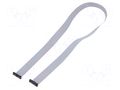 Ribbon cable with IDC connectors; IDC,both sides; 609.6mm; 24" SAMTEC FFSD12D240001N